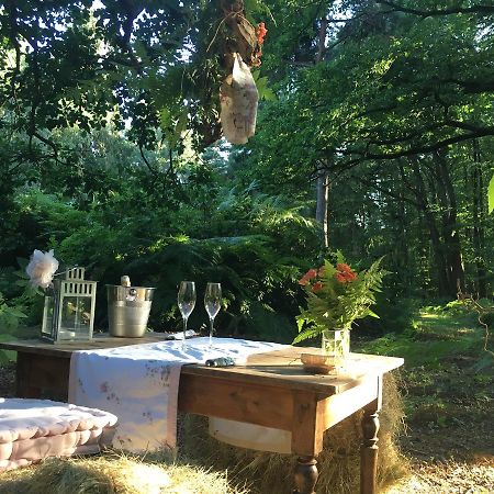 Domaine Du Vertbois La Haye-du-Theil エクステリア 写真