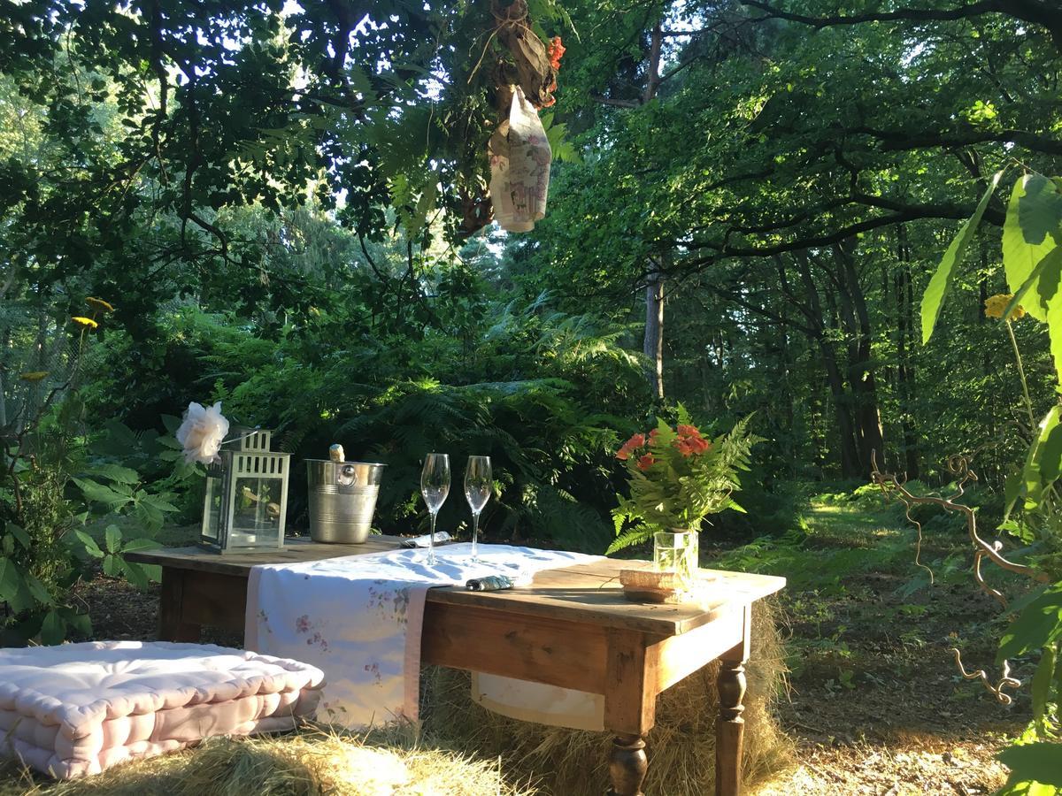Domaine Du Vertbois La Haye-du-Theil エクステリア 写真