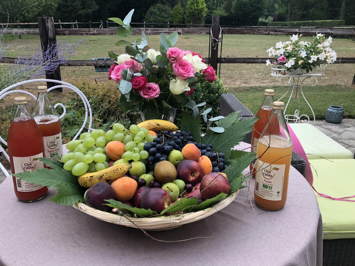 Domaine Du Vertbois La Haye-du-Theil エクステリア 写真